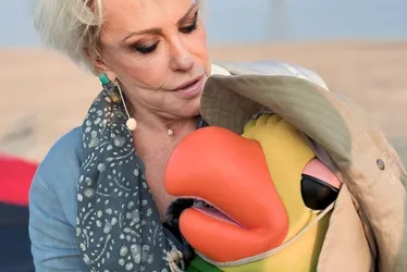 Imagem ilustrativa da imagem Ana Maria Braga faz passeio de balão em Dubai e cesto tomba