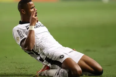 Imagem ilustrativa da imagem Botafogo vence América e dificulta ainda mais a vida de rivais pelo título