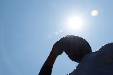 Imagem ilustrativa da imagem Calor extremo irá atingir 5 bilhões de pessoas em 2050, diz estudo