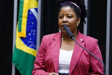 Imagem ilustrativa da imagem Capixaba na ONU