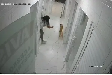 Imagem ilustrativa da imagem Caso Nala: imagens mostram como aconteceu fuga da cadela em clínica veterinária