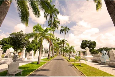 Imagem ilustrativa da imagem Cemitérios públicos do Recife recebem melhorias para o Dia de Finados