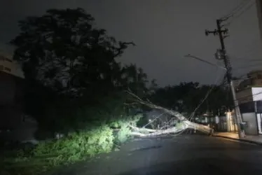 Imagem ilustrativa da imagem Chuva causa queda de 100 árvores e interrompe operação do aeroporto de Congonhas