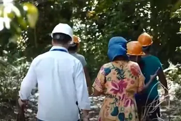 Imagem ilustrativa da imagem Coletores indígenas ajudam no reflorestamento e garantem renda extra no ES