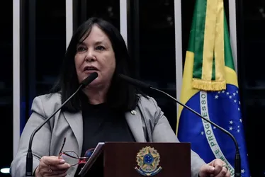 Imagem ilustrativa da imagem “Continuo liderando”, diz Rose sobre MDB estadual