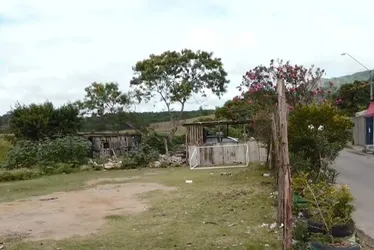 Imagem ilustrativa da imagem Criança é internada após levar coice de égua na Serra