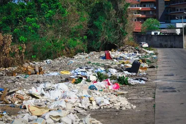Imagem ilustrativa da imagem Deputados aprovam projeto para que planos municipais multem quem joga lixo na rua