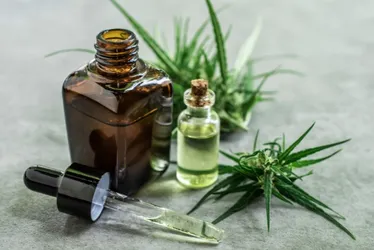 Imagem ilustrativa da imagem Deputados do ES aprovam acesso gratuito de pacientes a remédios à base de cannabis