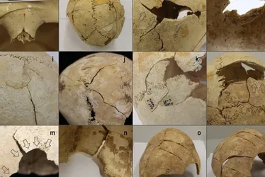 Imagem ilustrativa da imagem Descoberta em caverna arqueológica na Espanha revela guerra de 5.000 anos atrás