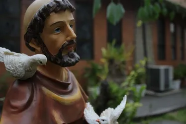 
          Imagem ilustrativa da imagem Dia de celebrar São Francisco e abençoar os animais
          