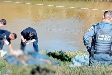 Imagem ilustrativa da imagem Dois suspeitos de matar e decapitar homem em Domingos Martins são presos