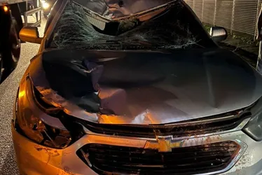 Imagem ilustrativa da imagem ES: Acidentes na BR-101 deixam dois ciclistas mortos
