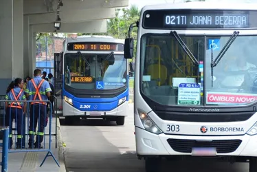 Imagem ilustrativa da imagem Em Pernambuco, 100 mil estudantes terão transporte gratuito para o ENEM