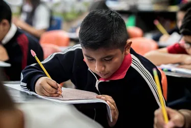 Imagem ilustrativa da imagem Escolas particulares terão um reajuste médio de 9% em 2024
