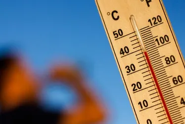 Imagem ilustrativa da imagem Estudo identifica cor de roupa que absorve mais calor que preto em dias quentes
