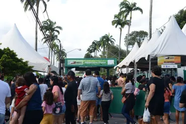 Imagem ilustrativa da imagem ExpoAgro Nordeste 2023 começa neste sábado no Recife