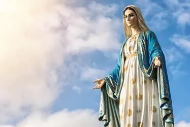 
          Imagem ilustrativa da imagem Festa para Nossa Senhora das Graças da Medalha Milagrosa
          