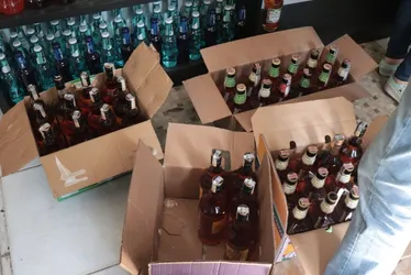 Imagem ilustrativa da imagem Garrafas de bebidas adulteradas são apreendidas durante fiscalização em Viana