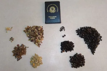 Imagem ilustrativa da imagem Governo recolhe 8 lotes de café por fraude e impurezas. Veja marcas