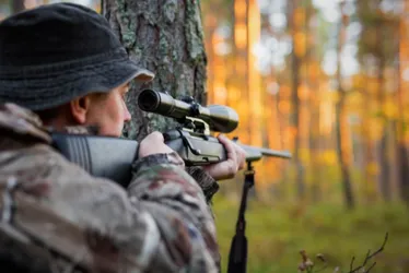 Imagem ilustrativa da imagem Governo volta atrás e proíbe armas de cano longo semiautomáticas a civis