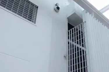 Imagem ilustrativa da imagem Grávida tenta roubar agência bancária, fica presa em grade e é detida pela polícia