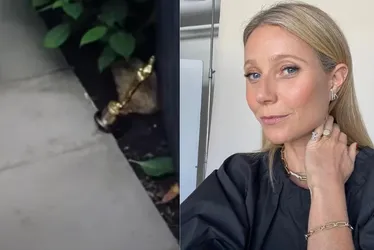 Imagem ilustrativa da imagem Gwyneth Paltrow diz que usa o Oscar como peso de porta
