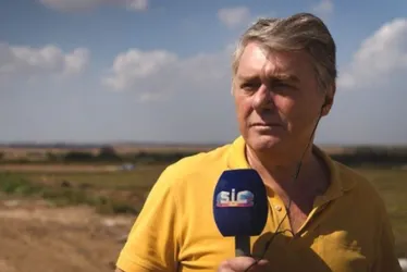 
          Imagem ilustrativa da imagem “Hamas usa a trégua para preparar 2ª fase do ataque”
          