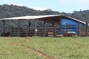 Imagem ilustrativa da imagem Homem tem 90% do corpo queimado após confusão com traficantes na Serra