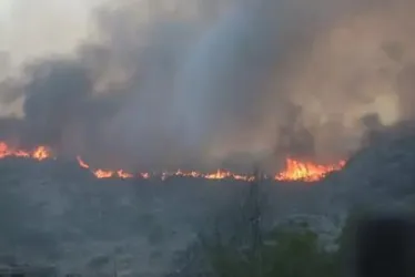Imagem ilustrativa da imagem Homem tenta fazer café em fogueira e causa incêndio florestal na Argentina