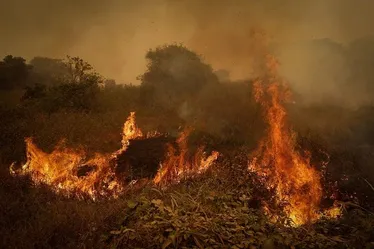 Imagem ilustrativa da imagem Incêndios têm pior outubro de sempre na Amazônia