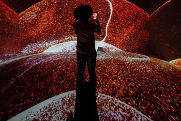 Imagem ilustrativa da imagem Incentivo à cultura e ao turismo com o Cais das Artes