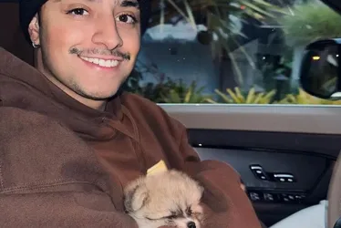 Imagem ilustrativa da imagem Influenciador descobre que cachorro foi atropelado durante transmissão ao vivo