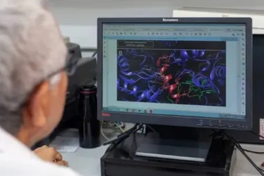 Imagem ilustrativa da imagem Instituto Butantan descobre molécula com potencial para combater superbactérias