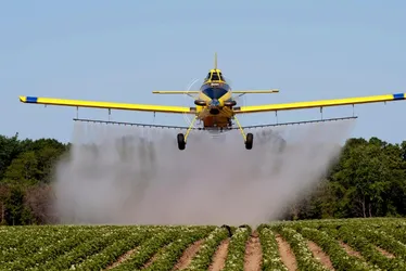 Imagem ilustrativa da imagem Mais aviões para ajudar na produção de alimentos no ES