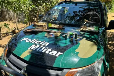 Imagem ilustrativa da imagem Mais de 180 pássaros silvestres são apreendidos pela polícia no Sul do ES