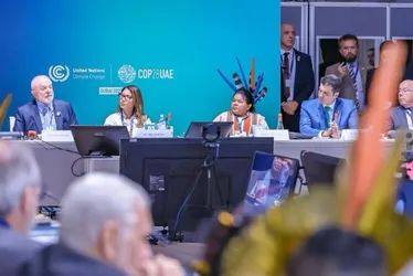 
          Imagem ilustrativa da imagem Mercado de carbono fica para depois da COP
          