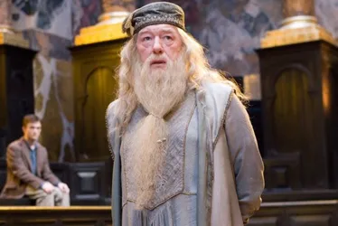 Imagem ilustrativa da imagem Michael Gambon, o Dumbledore de "Harry Potter", morre aos 82 anos