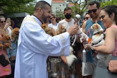 Imagem ilustrativa da imagem Missas, bênção dos animais e festa em Jardim da Penha