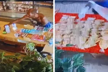 Imagem ilustrativa da imagem Morador de rua é preso ao tentar colocar fogo em padaria em Vila Velha