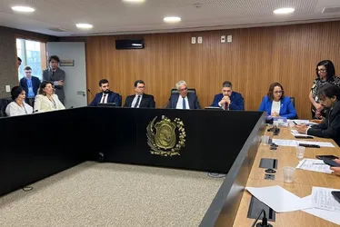 Imagem ilustrativa da imagem Mosca de rebanho em Pernambuco: como será combatida?