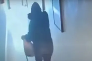 Imagem ilustrativa da imagem Mulher que usava foto de político capixaba para cometer crime sexual é presa em MG