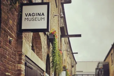 Imagem ilustrativa da imagem Museu da Vagina vai reabrir em Londres após ser fechado por falta de estrutura