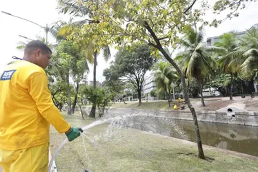 Imagem ilustrativa da imagem Novo projeto de paisagismo é implantado na Agamenon Magalhães