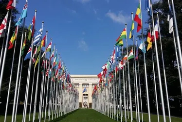 Imagem ilustrativa da imagem ONU pede descriminalização do aborto no Brasil e veto ao marco temporal