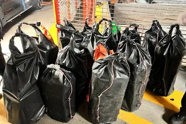 Imagem ilustrativa da imagem Polícia Federal apreende 1,5 tonelada de cocaína em navio no Porto de Vitória