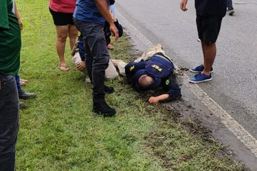 Imagem ilustrativa da imagem Policial Rodoviário Federal é atropelado na BR-408