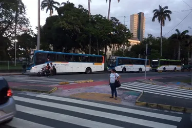 Imagem ilustrativa da imagem Reforço especial na frota dos ônibus no Grande Recife para o dia do Enem
