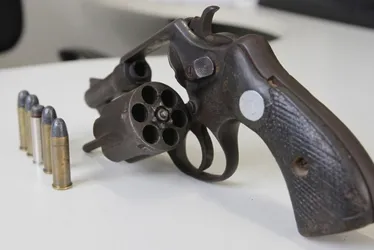 Imagem ilustrativa da imagem Registro de armas neste ano cai mais de 40% no ES