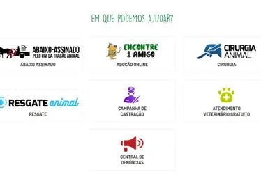 Imagem ilustrativa da imagem Romero Albuquerque e Andreza Romero lançam Central do Animal