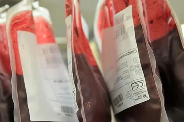 Imagem ilustrativa da imagem Sangue poderá ser vendido? Doador será remunerado? Entenda a 'PEC do Plasma'